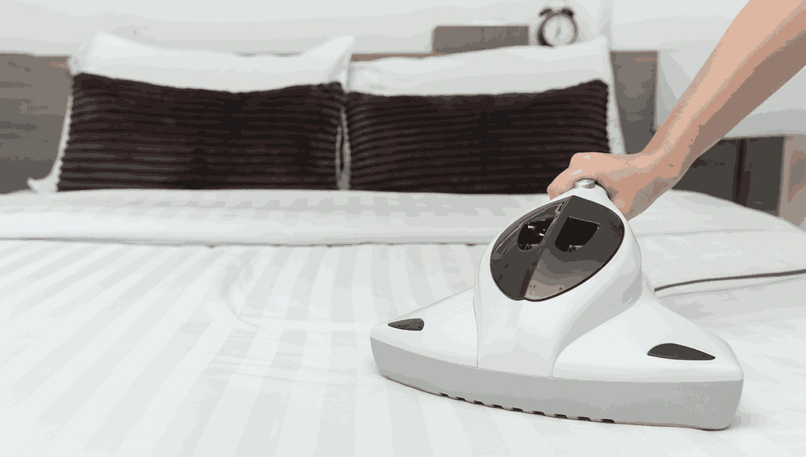 Professional Mattress Cleaning Tynong